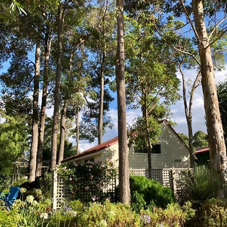 The Boulevard Garden Studio Lejlighed Margaret River Eksteriør billede